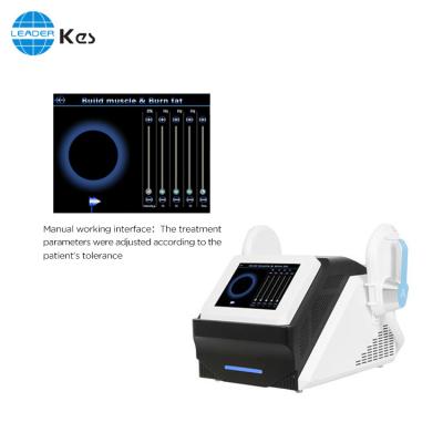 Chine Machine adaptée aux besoins du client de ems sculpting de la puissance 3000w à vendre