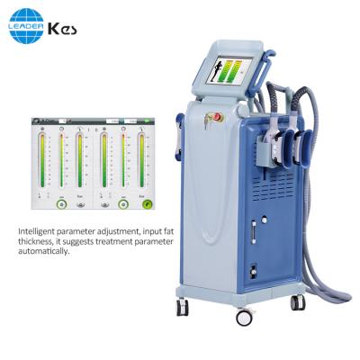 China 690nm 4 maneja la reducción Cryo de las celulitis que adelgaza la máquina en venta