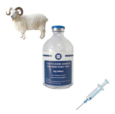 China Veterinary Injectable Drugs Cefotaxime Sodium Injection Powder for animal use for sale