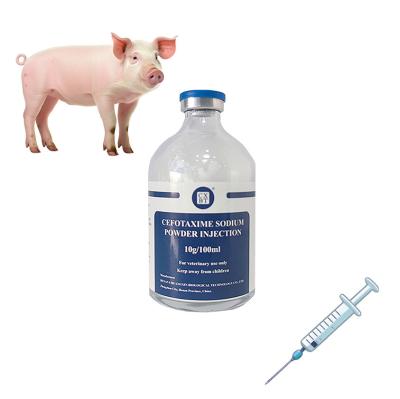 China Powder Form Veterinary Injectable Drugs for Sheep Treatment And Prevention Of Various Animal Diseases for sale