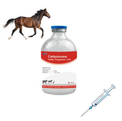 China Indications For Treatment Of Various Animal Diseases Veterinary Injectable Drugs 25mg Cefquinome Sulfate for sale