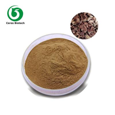 China 100% Natural Ginkgo Biloba Leaf Extract Powder for Improved Blood Flow and Cognitive Function for sale