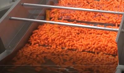 Cina Carota che trasporta le multi borse/H dell'impacchettatrice 2100 di funzione per le merci di agricoltura in vendita