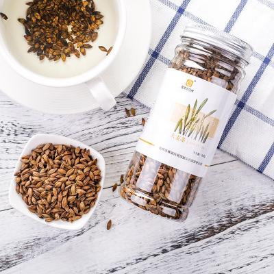 China Bottled Hot Tea Sale Barley Grain Tea Health Drink Roasted Barley Grain Tea for sale