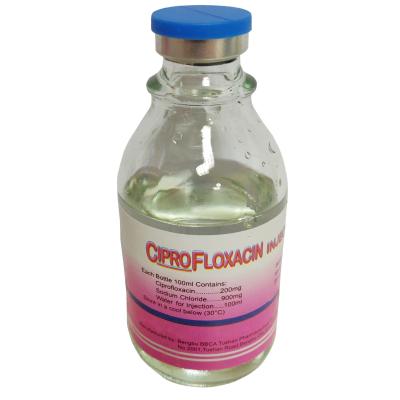 China 200mg 100ml Glass Bottle Ciprofloxacin Lactate Injection for sale