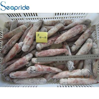 China Seafood Illex Nutritious Whole Frozen Squid for sale