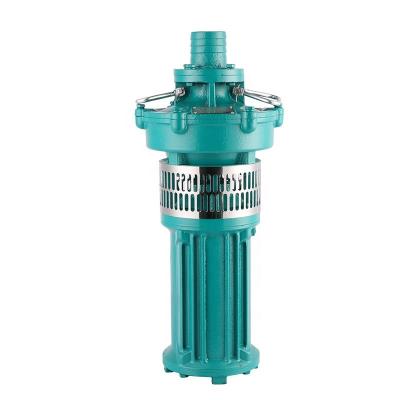 China QY Oil Immersion Pump Agricultural Irrigation single stage Pump Fountain Submersible Pump for sale