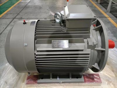 Chine La variable de moteur de 3 phases IE5 expédient entretien de Polonais 4 Polonais du moteur à courant alternatif 2 le bas à vendre