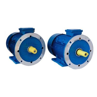 China 50hz 380V Brushless Permanent Magnet Motor IE5 Grade Rare Earth NdFeB Material for sale