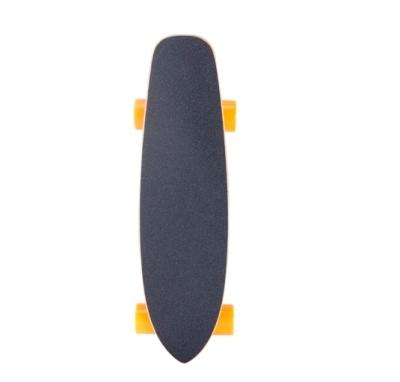 China SYL-03 Adult Fish Electric Board Cheap Electric Skateboard for sale