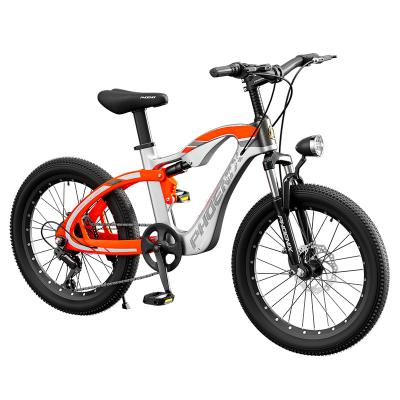China China Factory Cool Magnesium Alloy Kids Mountain Bike 7 Speed Steel High Quality Sports Cycle 20 Inch for sale