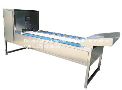 China fruto do diâmetro de 600Pcs/Min 50mm fora da máquina de corte do núcleo à venda