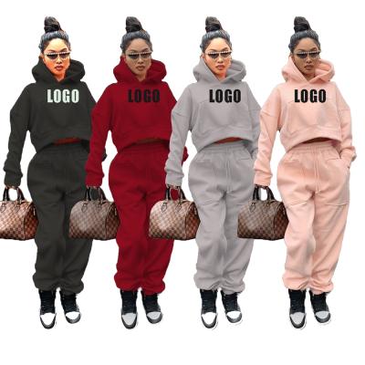 China 2021 new QUICK DRY recreational sports cycling hoodie women's two piece set plus size women clothing for sale