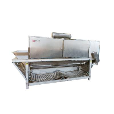 China High Quality Adjustable Speed 2000kg Dust Proof And Moisture Proof Garlic Peeler For Commercial Use for sale