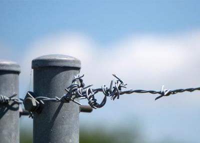China Use Of Prison Walls Length 200m Single Strand Hot Dipped Galvanized Barbed Wire for sale
