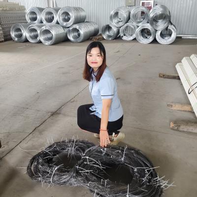 China Mzp Metal Wire Anti-Tank Barrier Defense Tank Movement Barrier Metal Net Wire Coils for sale