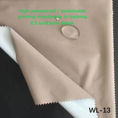 China Waterproof WL-13, Ristop nylon lamination fabric printing in backing for casual wear for sale