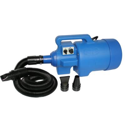 China Sustainable Adjustable Speed Wall Mounted Negative Ions Pet Water Dryer Blower for sale