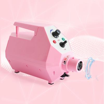China Durable High Speed Adjustable Air Low Noise Pet Grooming Dog Compulsory Hair Dryer for sale