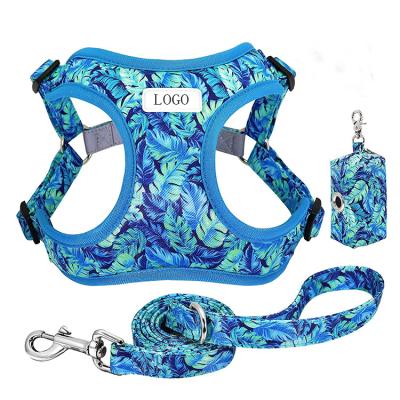China Padded Dog Harness & Leash Set Soft Harness & Leash& Bag Set for sale