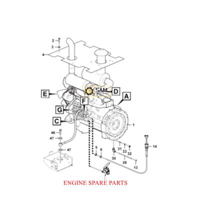 China Wheel Loader Wheel Loader Engine Parts 4013000028 Original Nut LG936L Wheel Loader Products With Best Price for sale