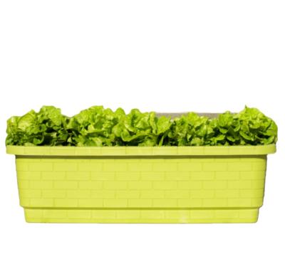 China 2021 Style Modern Indoor Flower Pot Garden Self Watering Plant Plastic Pot Large Rectangle Size For Vegetable Herbs Strawberry for sale