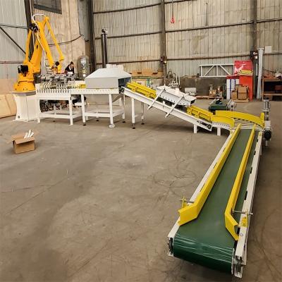 China Warehouse Robotic Arm Palletizer 4 Axis Robotic Case Palletizing for sale