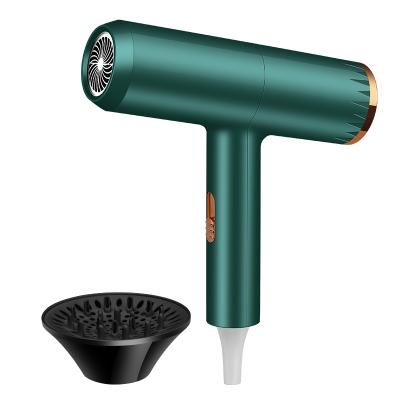 China 2022 New Design Products High Speed Anion Reduction Low Noise Ionic Fan Leafless 700W One Stage Professional Hair Dryer for sale