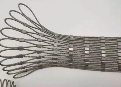 Chine Main de câble métallique de GV 60m - criblage tissé de Mesh Plain Weave For Bird à vendre
