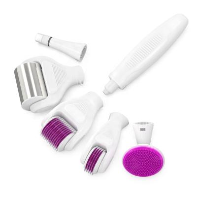 China New Arrival Anti-Puffiness Derma Roller Kit 6 in 1 Ice Roller Set 12 300 720 Stainless Steel Micro Needle Dermaroller Original Manufacturer for sale