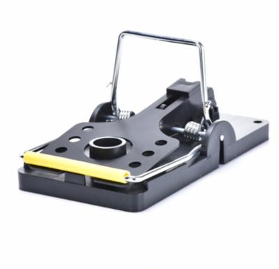 China Amazon Logo Color Box Spring Mouse Disposable Hot Selling Custom Rat Trap Set Of Snap 4 6 8 Trap for sale