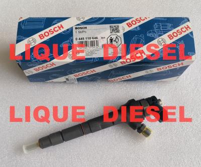 Chine BOSCH Fuel Injector 0445110646 0445110369 0445110647 0 445 110 646 0445110 646 0 445 110 369 0 445 110 647 à vendre