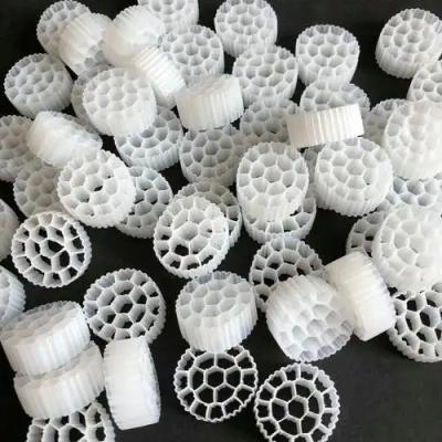 China Small Boss Advanced MBBR Biofilter System MBBR Filter Media Mbbr Carrier Media K5 Filters for RAS Fish Farming for sale