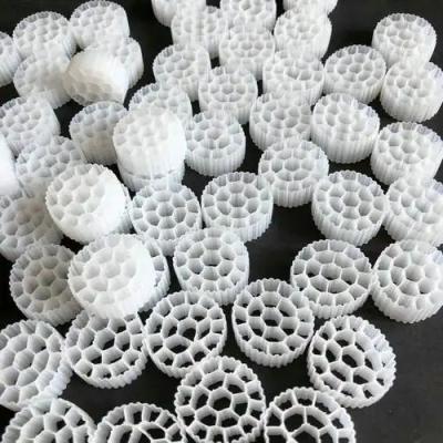 China High Performance Fish Farm Bio Filter MBBR Media for RAS Fish Farm System for sale