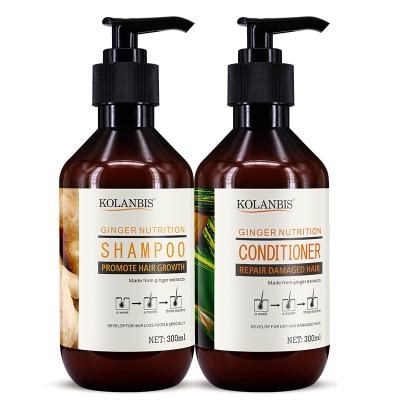 China Healthy Hair Care Organic Ginger Shampoo Loss Prevention Private Label and Conditioner Set for sale