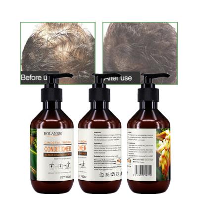 China Color-Protecting Ginger Hair Conditioner Scalp Care Hair Conditioner Make Hair Mild Herbal Extract for sale