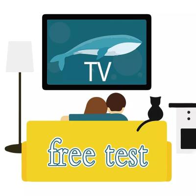 China Smart Tv/VLC/Iptv Smarters Hot Xxx Abonnement Iptv Subscription 12 Monthsr Android TV 4k Reseller Panel Free Test android box for sale