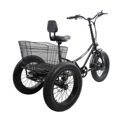China Cargo EU Hot Fat tire Lithium 48V 500W Differential shaft Trike Tricycle for elderly for sale