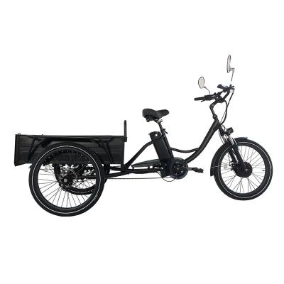 China Cargo High quality Trike Lithium Battery Powered 350W 500W Disc 24 Inch Three Wheels Tricycles for sale