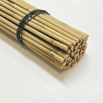 Китай Длина поляков Dia.0.8cm x 100cm Eco дружелюбная декоративная сырцовая бамбуковая продается