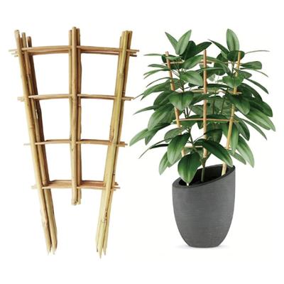 China Fabriek direct leveren handgemaakte 24 inch bamboe U Trellis Hoop Stakes voor tuin Te koop