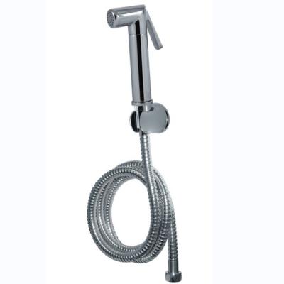 Chine Pulvérisateur à bipète en acier inoxydable encromé gris clair pour salle de bain et femmes à vendre