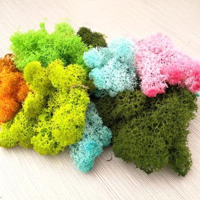 China Eco-friendly moss decoration home accessories diy floral material decoration preserved fresh moss for wedding party garden for sale