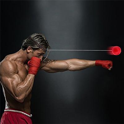 China High Quality Fast Speed Ball Boxing Equipment High Quality Fight Band To Box Training Reflex Speed Punch Muay Thai Exercise R0760 for sale