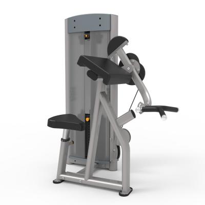 China Commercial Steel Bicep Curl Machine For Arm Workout Strength Training for sale