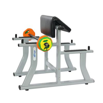 China Wholesale Hot Sale High Quality Arm Curl Bench Gym Equipment Biceps Curl for sale