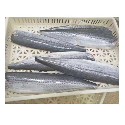 China Vitamin Wholesale Spanish Mackerel Frozen Fish Fillet for sale