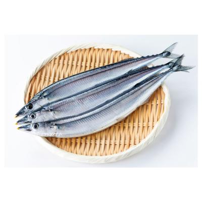 China Vitamins Good Quality Frozen Pacific Veal Whole Round for sale