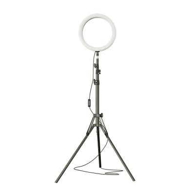 China 8 Inch PORTABLE ABS Material And Bright Ring Light With 2.1 Meter Tripod 20cm Photo Light With Phone Holder Led Selfie Ring Light For RK43 Living for sale