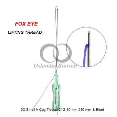 China Dermabelle Lift PDO Thread 3D Gog Pequeño V 21G 60mm hilos de levantamiento coreanos para ojos de zorro o ojos de gato elevando las cejas 20 Pcs L Aguja contundente en venta